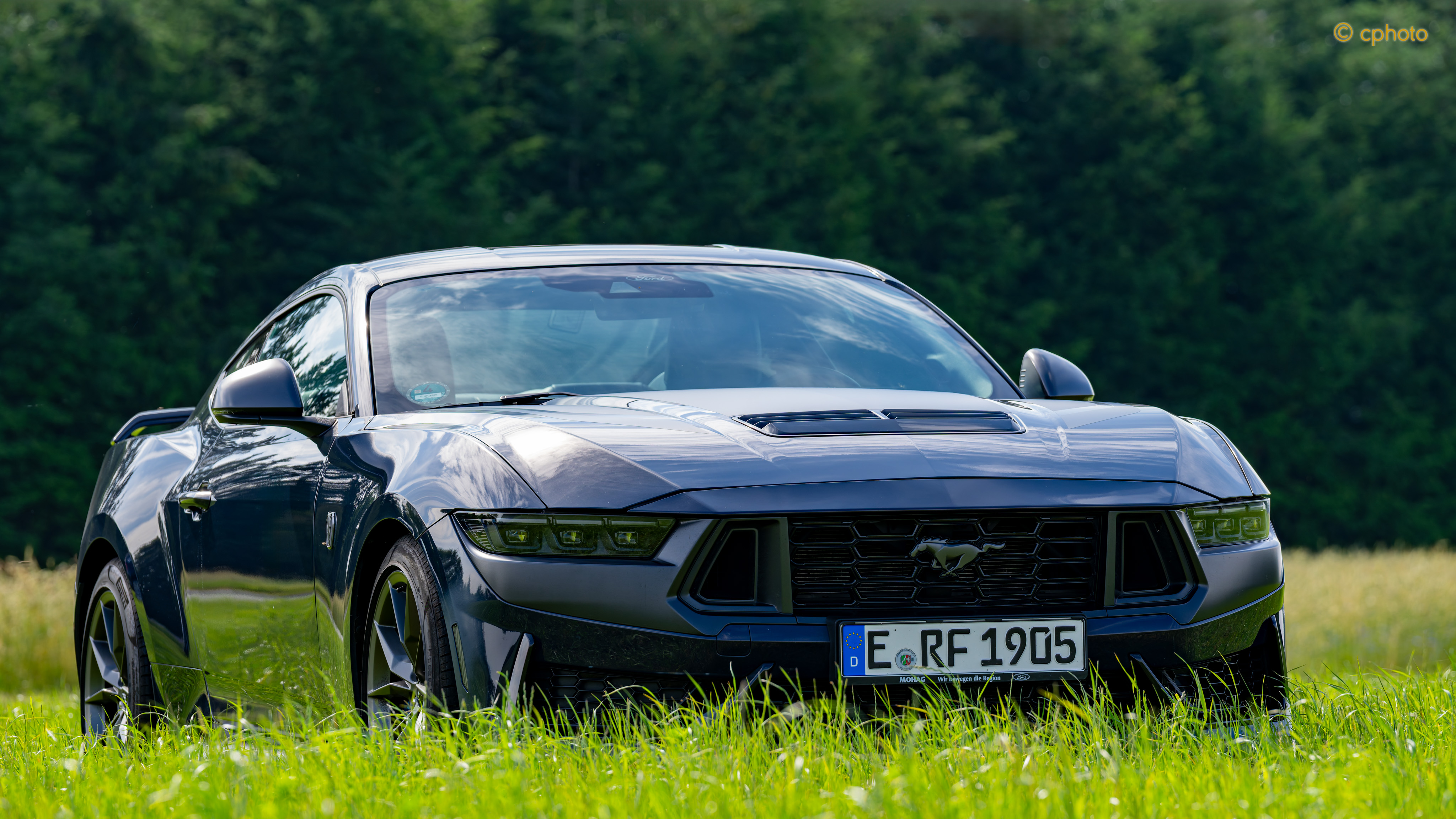 Dark Horse